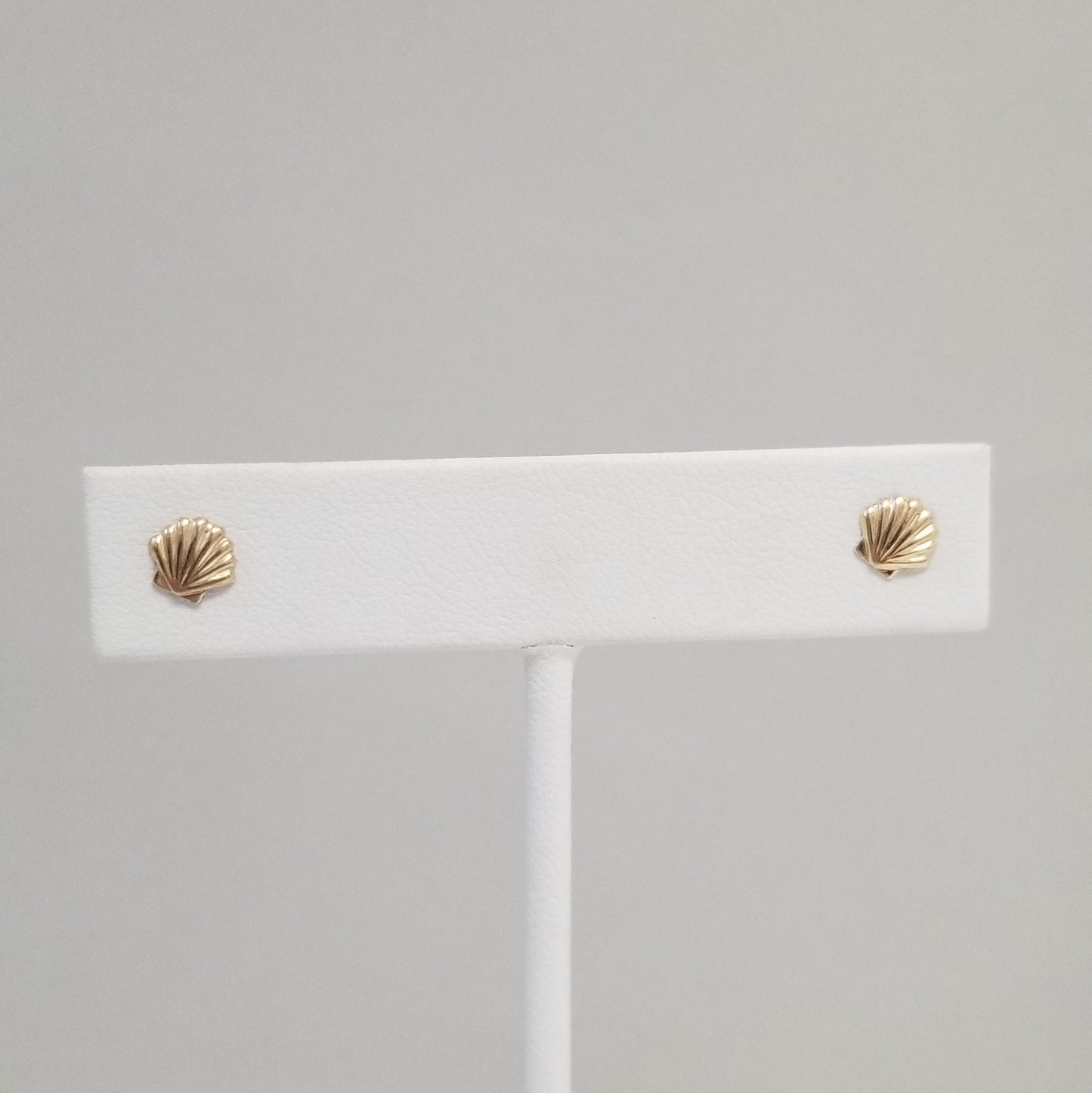 Seashell Earrings | 14K Gold