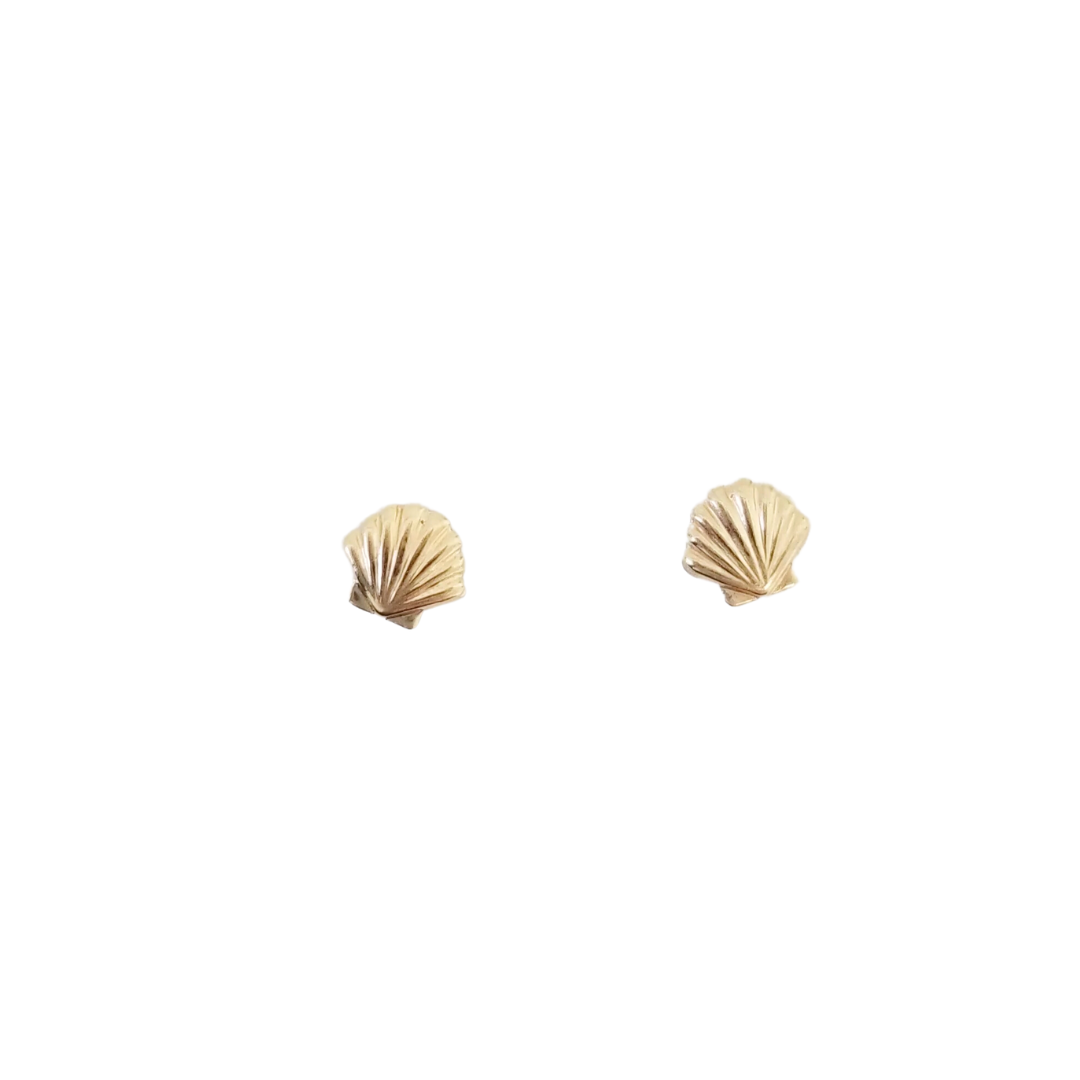 Seashell Earrings | 14K Gold